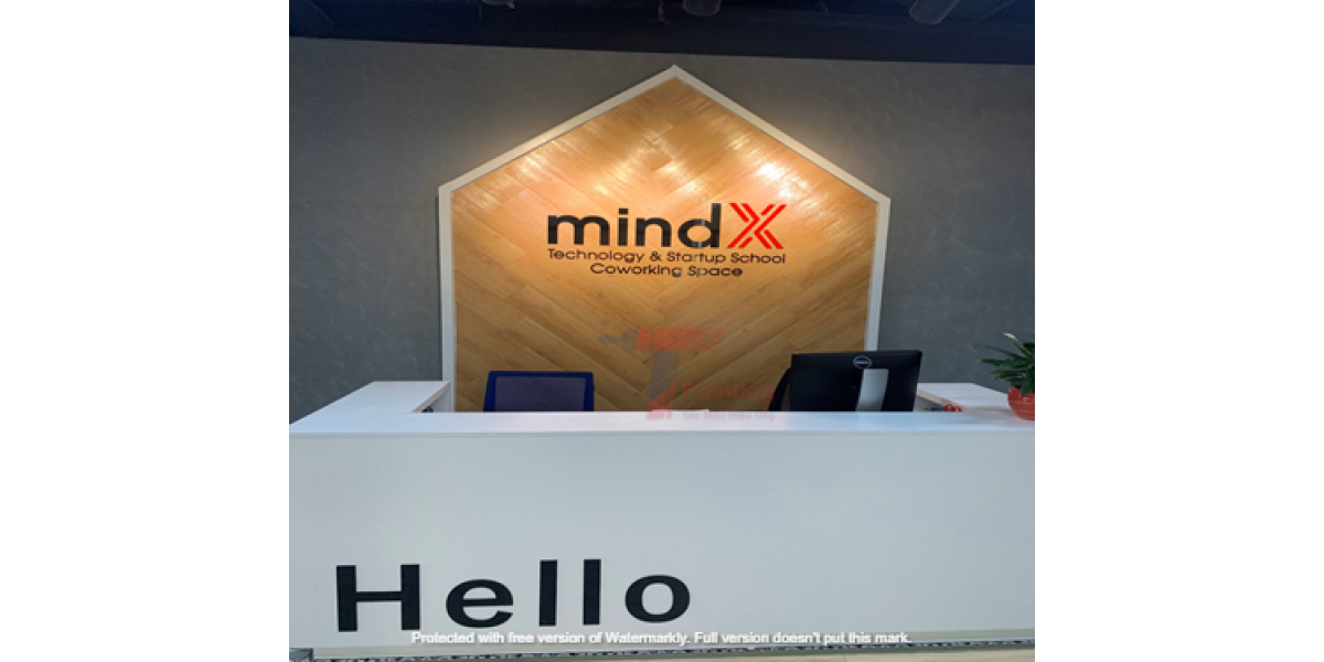 MIND X - SƠN HIỆU ỨNG GIẢ BÊ TÔNG CONCRETE